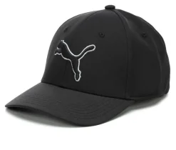 Puma Men's Evercat Dillon 2.0 Stretch Cap