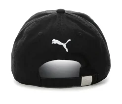 Puma Men's Rainbow Dad Cap